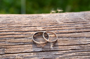 Batan güneşin ışınlarında, yaz aylarında, karahindiba tohumlarının etrafında eski bir tahta üzerinde iki beyaz altın alyans. Arka plan bulanık. Klasik, kırsal, boho tarzı.