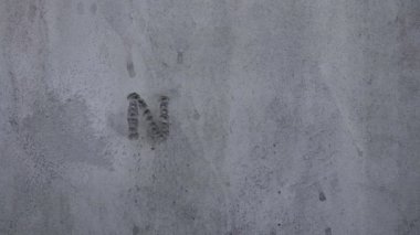 Mermi beton duvara çarpıp 