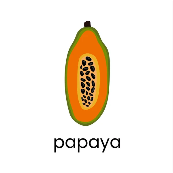 Eine Halbe Orange Papaya Reife Papaya Mit Samen Vector Illustration — Stockvektor