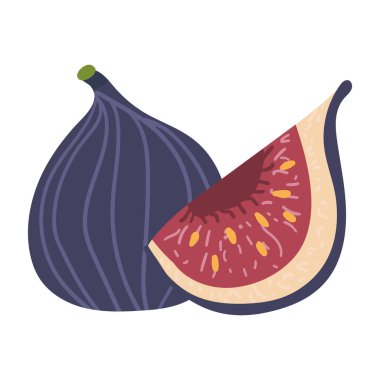 Beyaz arka planda yarı izole edilmiş incirler. Düz bir şekilde meyvelerin vektör çizimi. Doğal tatlılar. Sağlıklı yiyecekler.