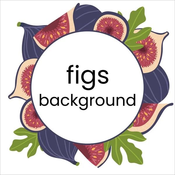 Fig Fresh Tropic Fruit Banner Cartoon Color Vector Border Frame — Stock Vector