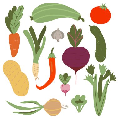 Sebze. Beyaz arka planda izole edilmiş taze sebzelerle çiftçi pazarı illüstrasyonu. Çiftçi, organik, doğal, vejetaryen. Düz çizgi film vektör çizimi.