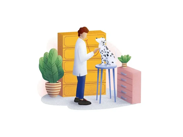 Veterinary Clinic. A vet works with Dalmatian
