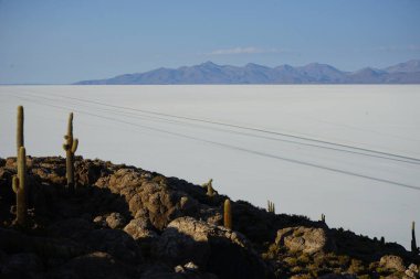 Saman de uyuni Yolu