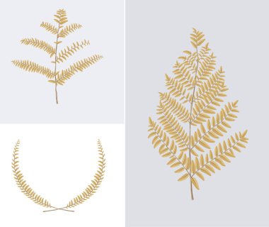 Yaprak çizim nesnesi. vektör eps10.