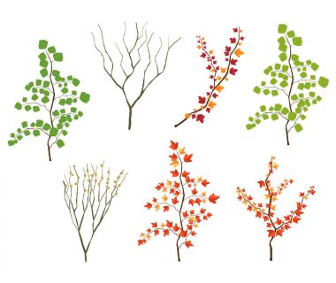 Yaprak çizim nesnesi. vektör eps10.