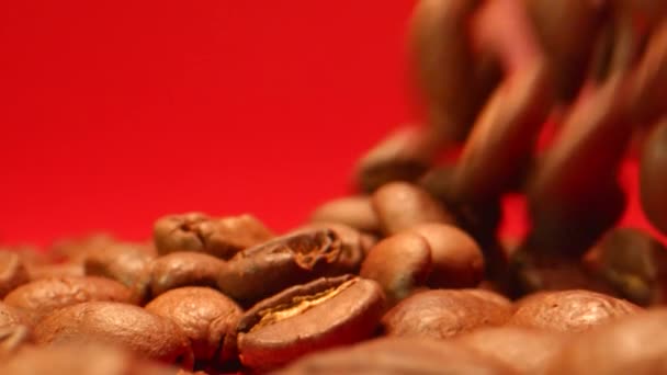 Koffiebonen vallen in Extreme Slow Motion met rode achtergrond — Stockvideo