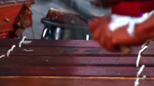 Cape Town, Güney Afrika 'da Marimba Çalan Afrikalı Kabile Müzisyeninin Kapanışı — Stok video