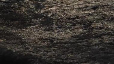 Boğaz Denizi Dalgaları ve Aşırı Yavaş Hareket Eden Martıların Gölgeleri