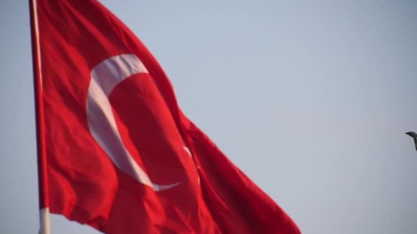 Resumen borrosa bandera turca con una cometa en primer plano en cámara lenta — Vídeo de stock