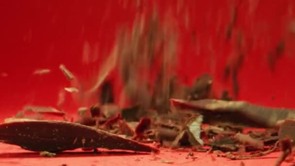 Сирі шоколадні шматочки падають в повільному русі макро — стокове відео