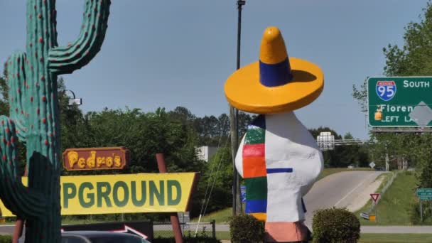 Standbeeld Van Een Man Met Een Sombrero South Carolina — Stockvideo