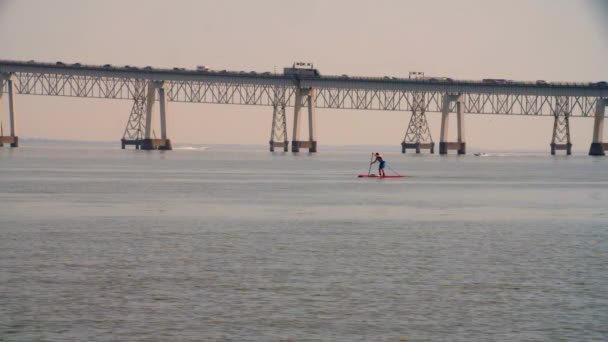 Chesapeake Körfezi Ndeki Sandy Plajı Nda Sörf Tahtasında Ağır Çekimde — Stok video