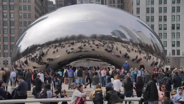 Chicago Bulut Kapısı Milenyum Parkı Ndaki Fasulye Heykeli — Stok video