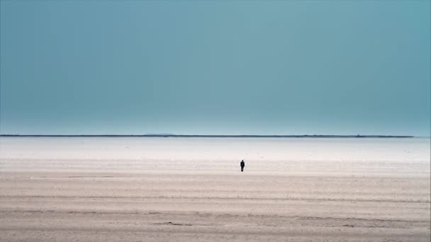 Homme Marchant Sur Salt Lake Turquie — Video