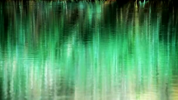 Bird Jumping Beautiful Water Reflection Bauxite Lake Otranto Italy — Stock video
