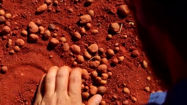 Man Hand Scoops Red Soil Bauxite Bauxite Mine — стоковое видео