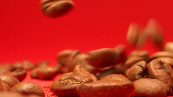 Kaffebönor Faller Makro Extreme Slow Motion Med Röd Bakgrund — Stockvideo