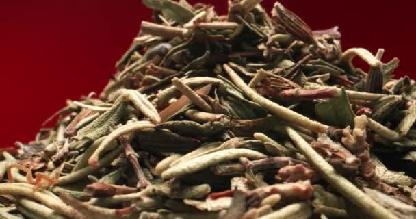 Dried Thyme Savory Rosemary Basil Lavender Tarragon Herbs 의 익스트림 매크로 샷 — 비디오
