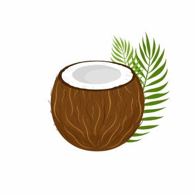 Beyaz arkaplanda izole edilmiş palmiye yapraklı hindistan cevizi. 