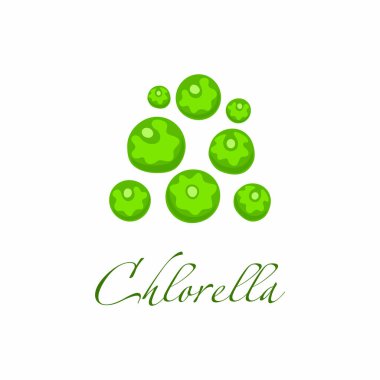 Beyaz arka planda yosun klorellası. Daire biçiminde süper yiyecekler. 