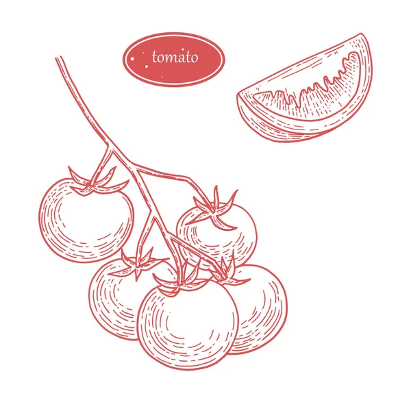 Tomates Ilustración Vectorial Dibujado Mano Marco Comida Saludable Concepto Mercado — Vector de stock