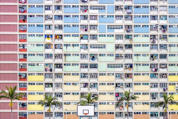 Abstract View Dense Rainbow Coloured Housing Palm Trees Summers Day — Stock Photo, Image