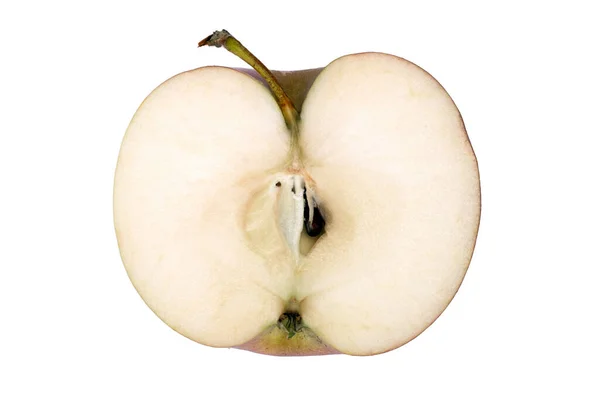 Sezonowe Jabłko Sekcji Peduncle Białym Tle — Zdjęcie stockowe