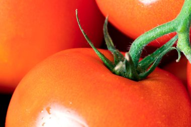 Bir dal parçasıyla kırmızı domates. Yaklaş.