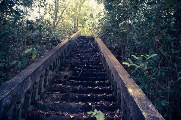 古老的楼梯陡峭而狭窄 四周环绕着树林 — 图库照片