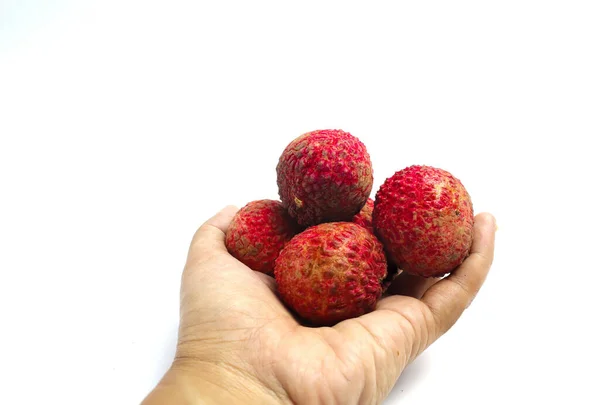 Lychee Merah Tangan Dengan Latar Belakang Putih — Stok Foto