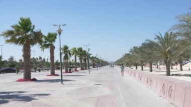 Dubai 'de deniz kıyısındaki palmiye ağaçlarının yanında.