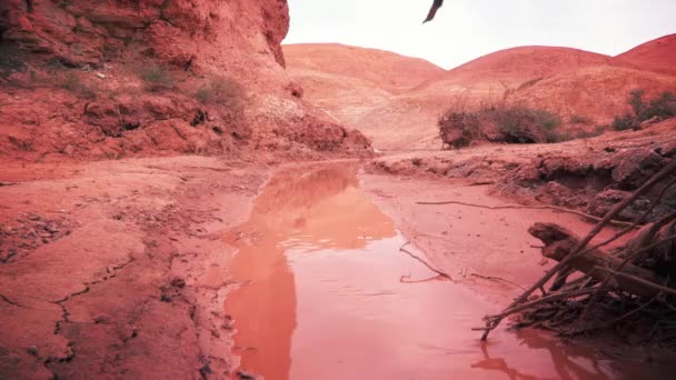 Cracks Terreno Argilloso Nel Deserto Dopo Pioggia — Video Stock