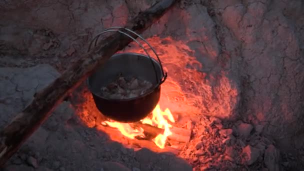 Hands Campfire Cooking Meat — Stock Video