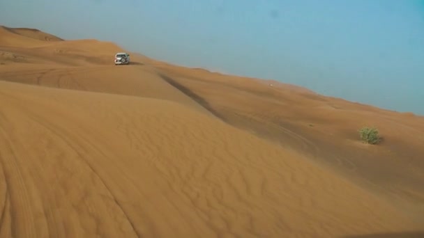 Dubai Çölünde Bir Cip — Stok video