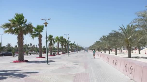 Carretera Dubai Cerca Palmeras Playa Imágenes de stock libres de derechos