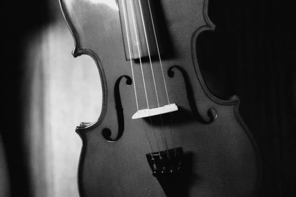 Musical instrument fiddle 4 strings full size blank and white style