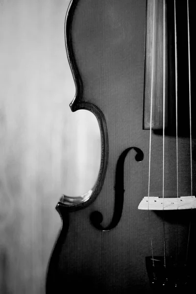Fiddle Strings Повнорозмірний Музичний Інструмент Чорно Білий Дерев Яним Фоном — стокове фото