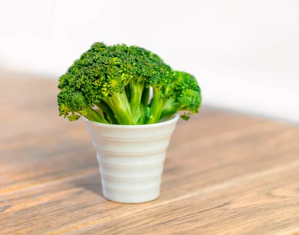 Kleiner Grüner Baumförmiger Brokkoli Einem Weißen Topf Großaufnahme Einem Holztisch — Stockfoto