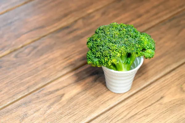 Brokoli Kecil Berbentuk Pohon Hijau Dalam Pot Putih Close Dalam — Stok Foto