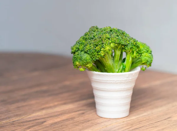 Small green tree-shaped broccoli in a white pot close-up in a wood table — Stock Image Small Green Tree Shaped Broccoli White Pot Close Wood Table Stock Picture