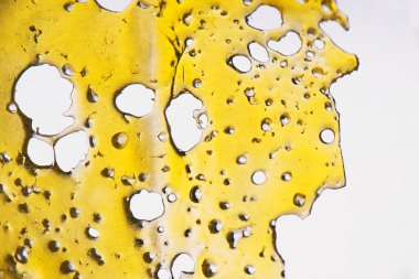 Cannabis oil concentrate aka shatter isolated clipart