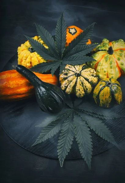 Díkůvzdání pozadí s podzimní squash, tykve a cannabi — Stock fotografie