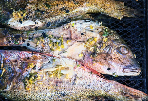 Fresh red snapper on the grill — Stock Photo, Image