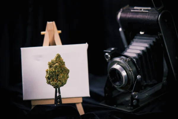 Cannabis bud s stojan a vintage camera — Stock fotografie