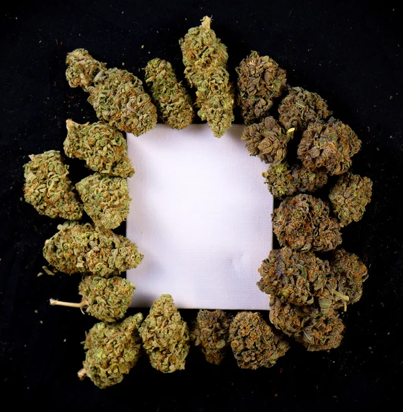 Vit duk inramad av torkad cannabis knoppar — Stockfoto