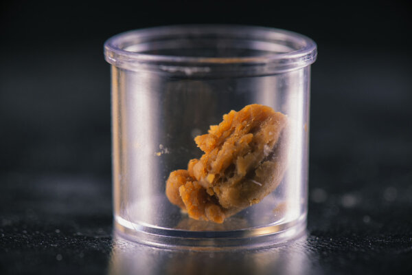 Cannabis extraction wax crumble isolated