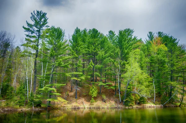 Floresta refletindo sobre lago calmo no norte de Ontário, Canadá — Fotografia de Stock