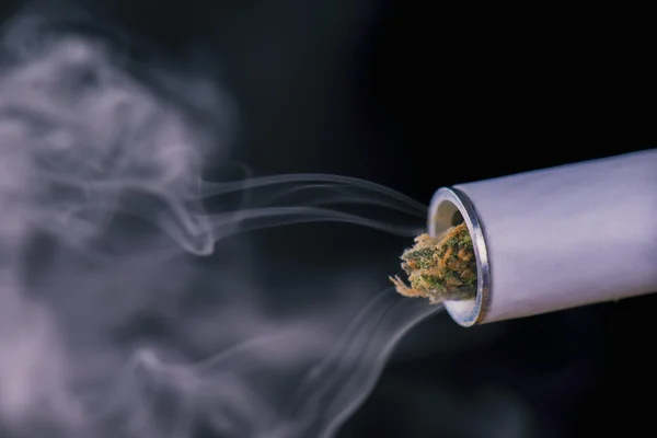 Закройте наконечник марихуаны и дым — стоковое фото