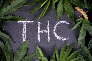 Tıbbi esrar esrar ile arka plan Thc çerçeveleme bırakır 